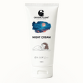 Night Cream